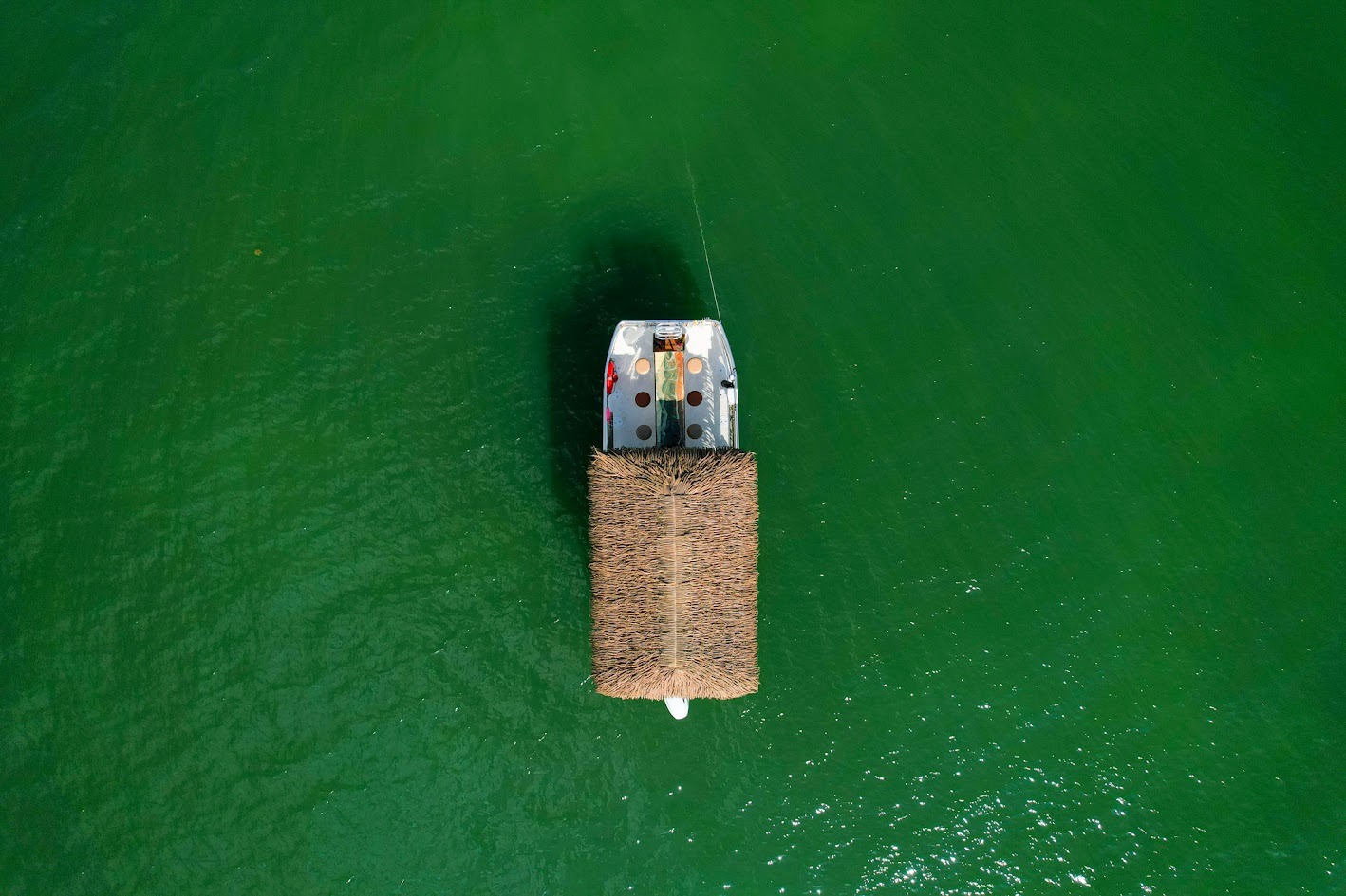 TIKI BAR 30 — view 4