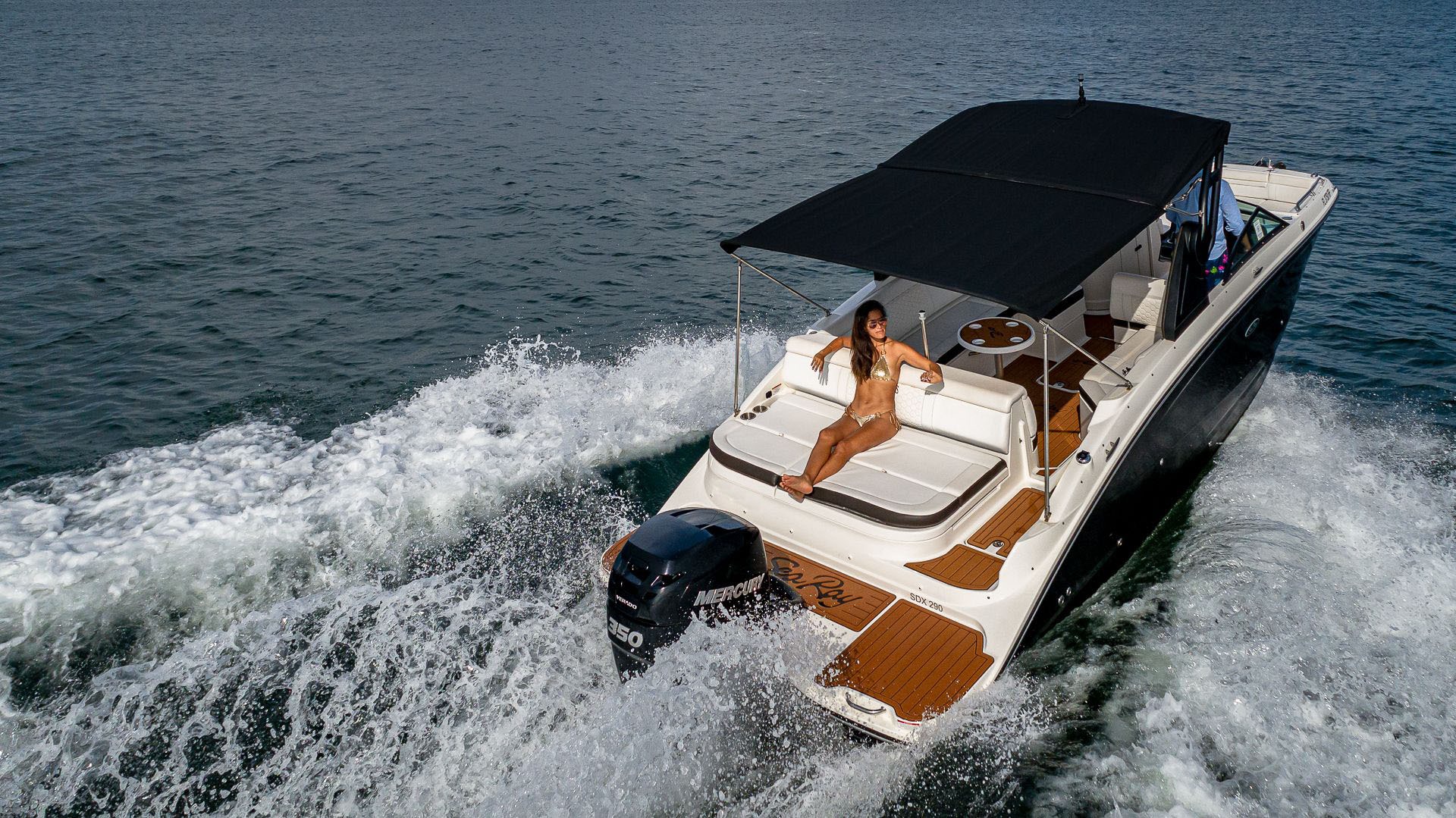 SDX SEA RAY 29 in East Coast United States — view 7