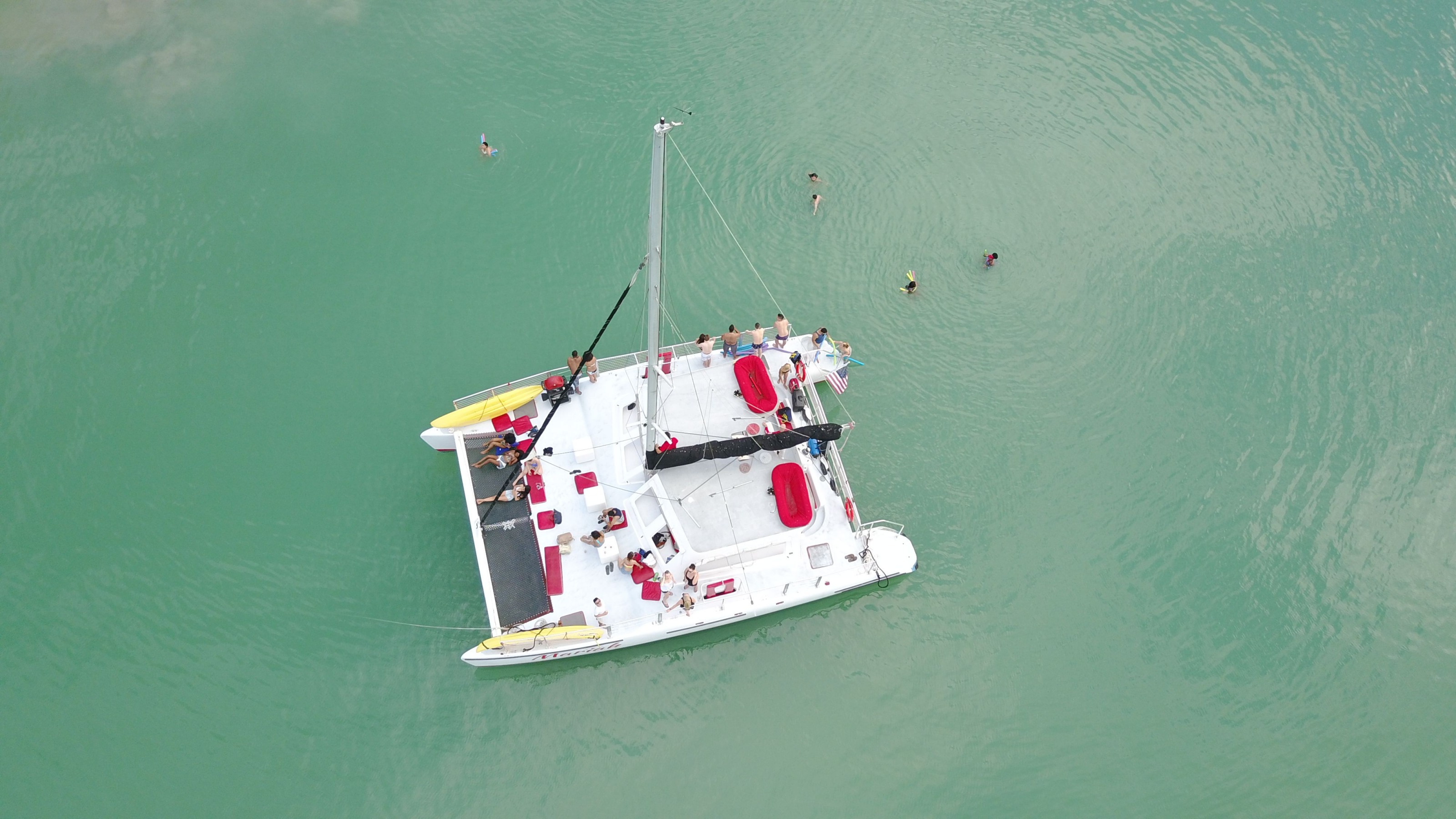 42-49 PERSON CATAMARAN 49 in East Coast United States — view 7