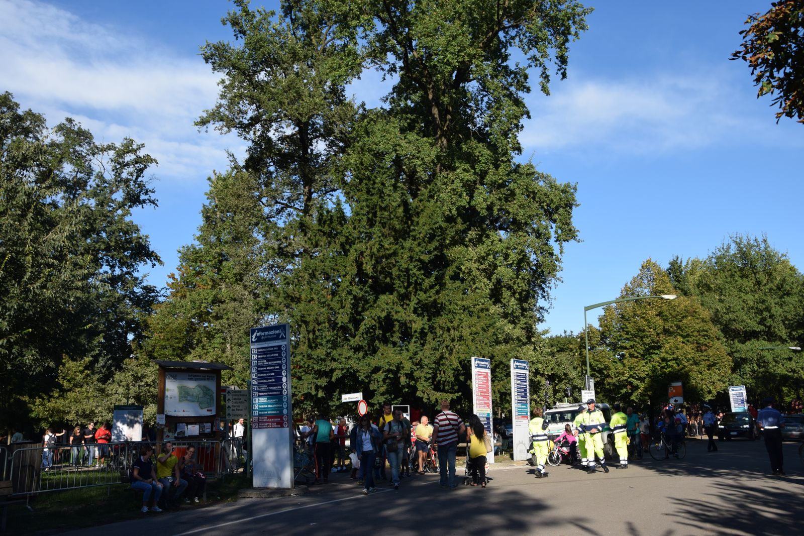 Trees in the park beside the Autodromo Nazionale di Monza